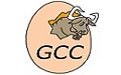 gcc编译器官网版
